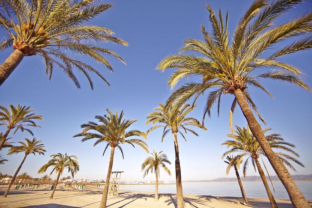 Sahara Nubia Gobi Otel Ses Cadenes Dış mekan fotoğraf Palma de Mallorca
